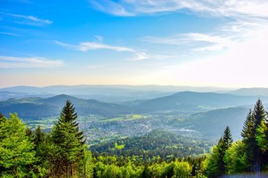Bayerischer Wald mit Halbpension